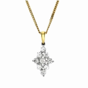 18ct Yellow Gold 9-Round Brilliant Cut Diamond Cluster Pendant & Chain
