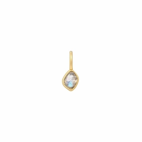 Ania Haie Gold Labradorite Charm