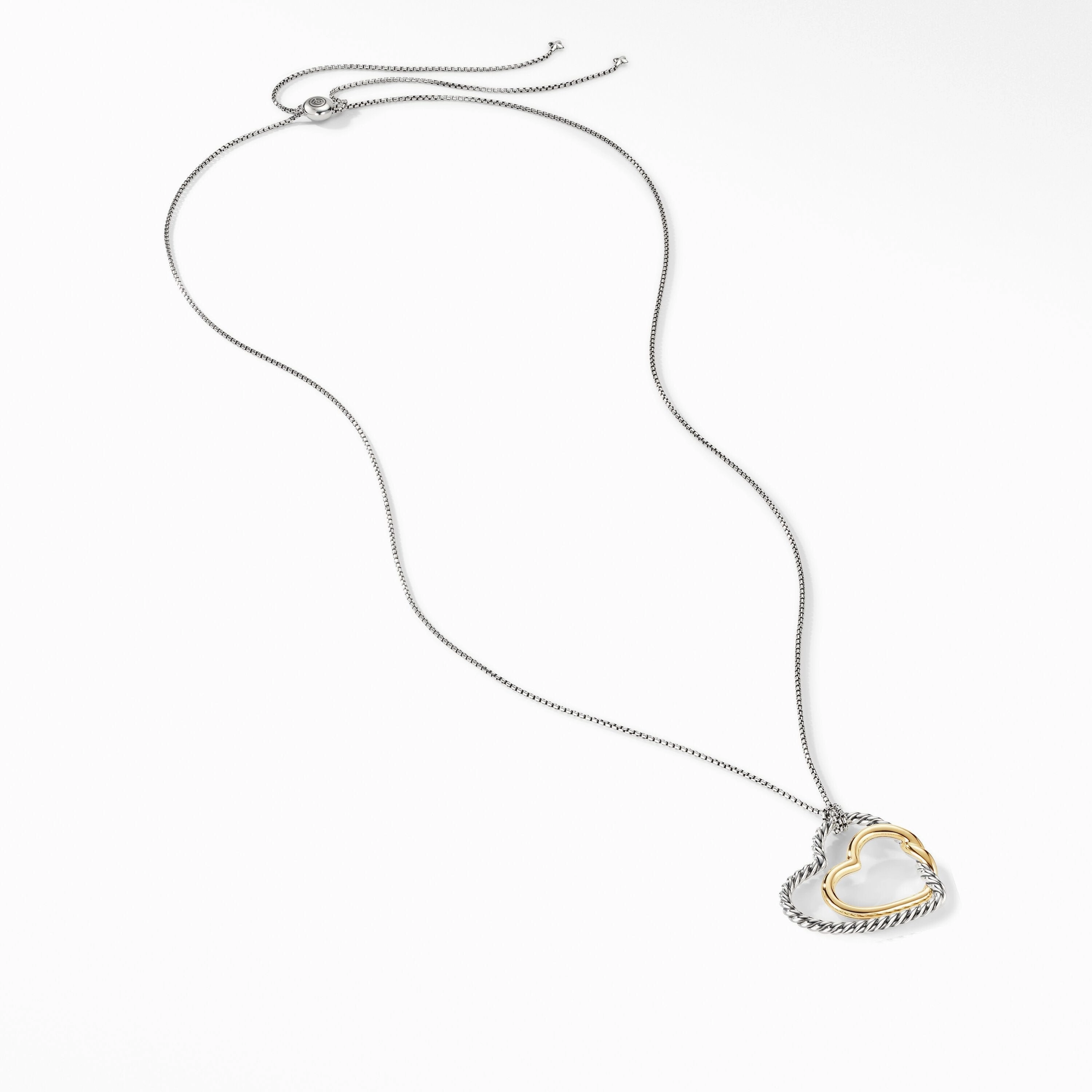 Continuance Heart Necklace