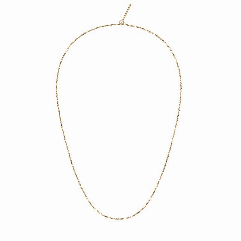 Daniel Wellington Charms Chain Necklace Gold