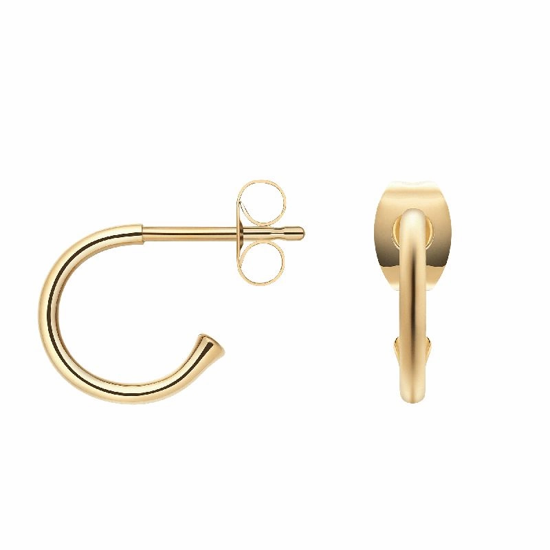 Daniel Wellington Charms Earrings Gold