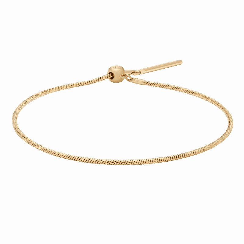 Daniel Wellington Charms Snake Bracelet Gold