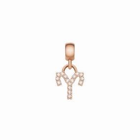 Daniel Wellington Crystal Aries Charm Rose Gold