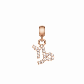 Daniel Wellington Crystal Capricorn Charm Rose Gold