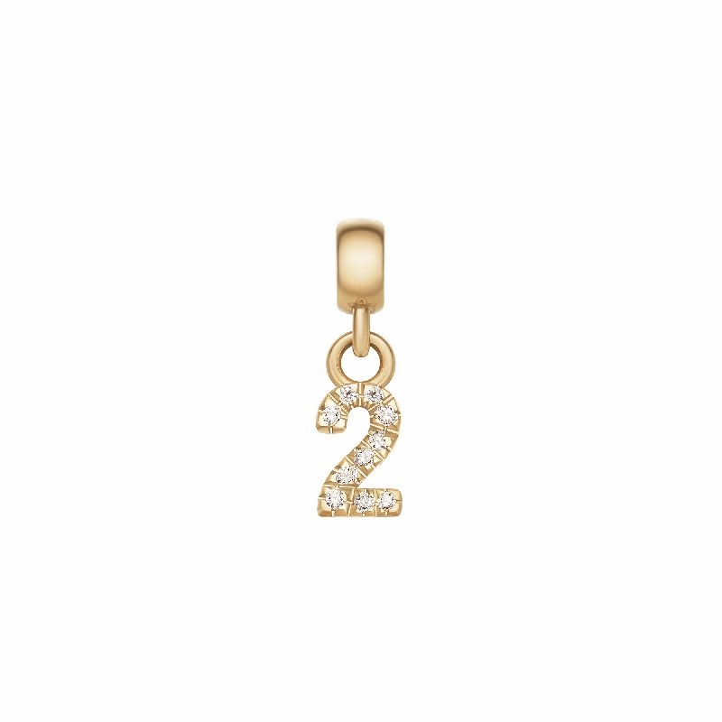 Daniel Wellington Crystal Number 2 Charm Gold