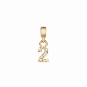 Daniel Wellington Crystal Number 2 Charm Gold