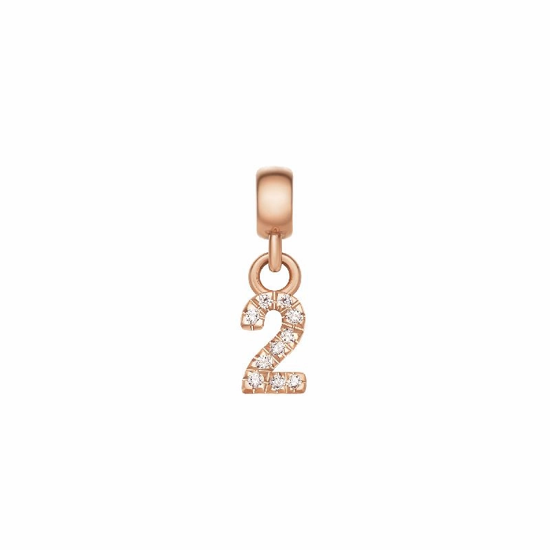 Daniel Wellington Crystal Number 2 Charm Rose Gold