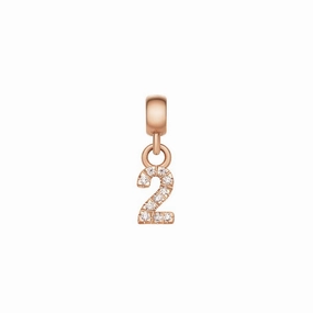 Daniel Wellington Crystal Number 2 Charm Rose Gold