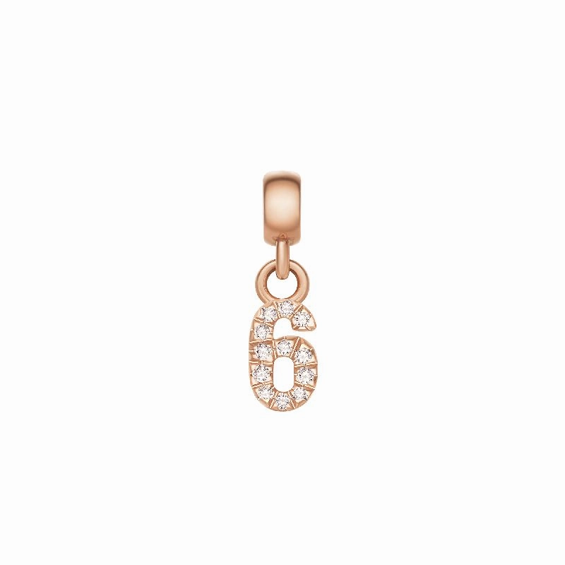 Daniel Wellington Crystal Number 6 Charm Rose Gold