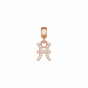 Daniel Wellington Crystal Pisces Zodiac Charm Rose Gold