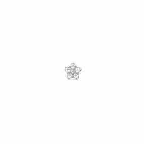 Daniel Wellington Crystal Star Stud Silver