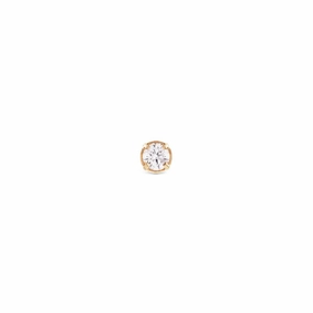 Daniel Wellington Crystal Stud Gold