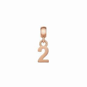 Daniel Wellington Number 2 Charm Rose Gold
