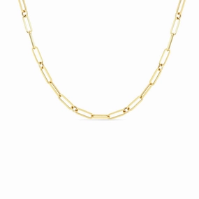Fine Link Paperclip Chain (19 inches)