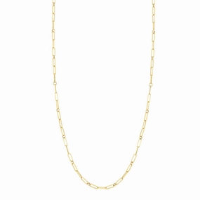 Fine Link Paperclip Chain (22 inches)