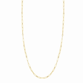 Fine Link Paperclip Chain (22 inches)