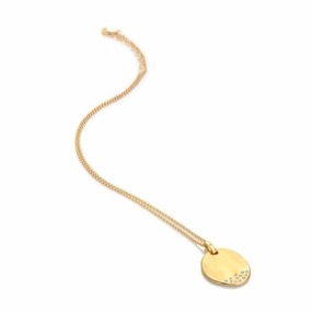 Illuminate Pendant - Large