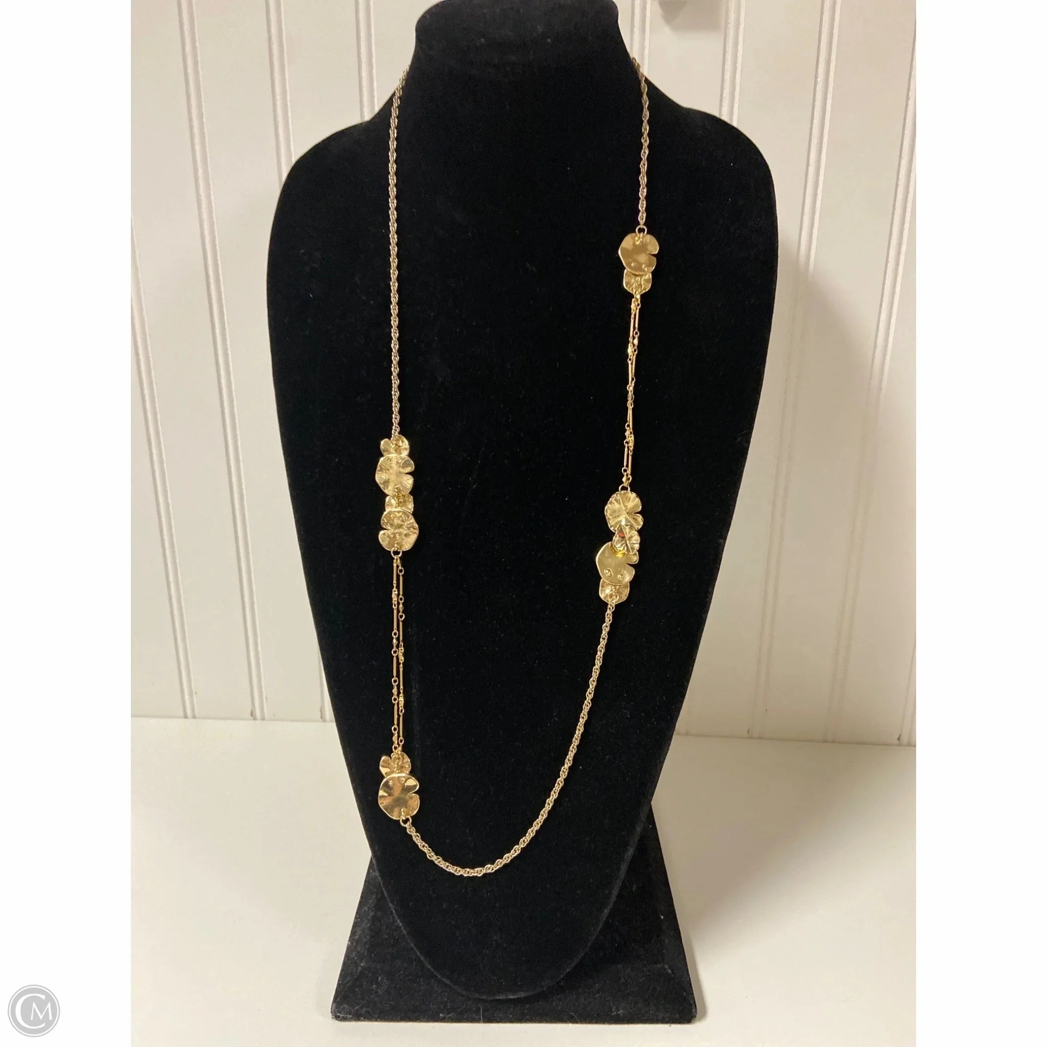 Necklace Chain By Clothes Mentor