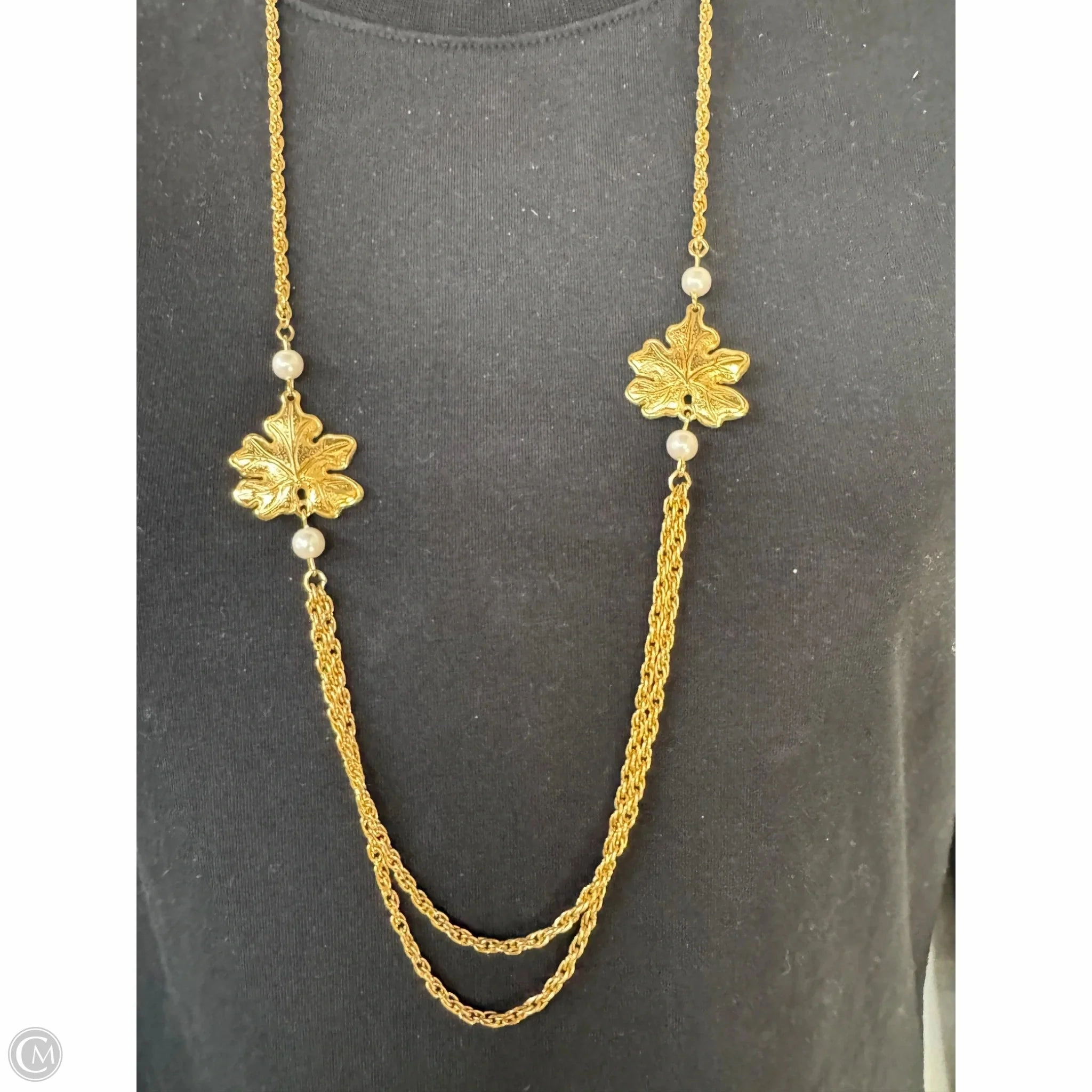 Necklace Chain By Clothes Mentor