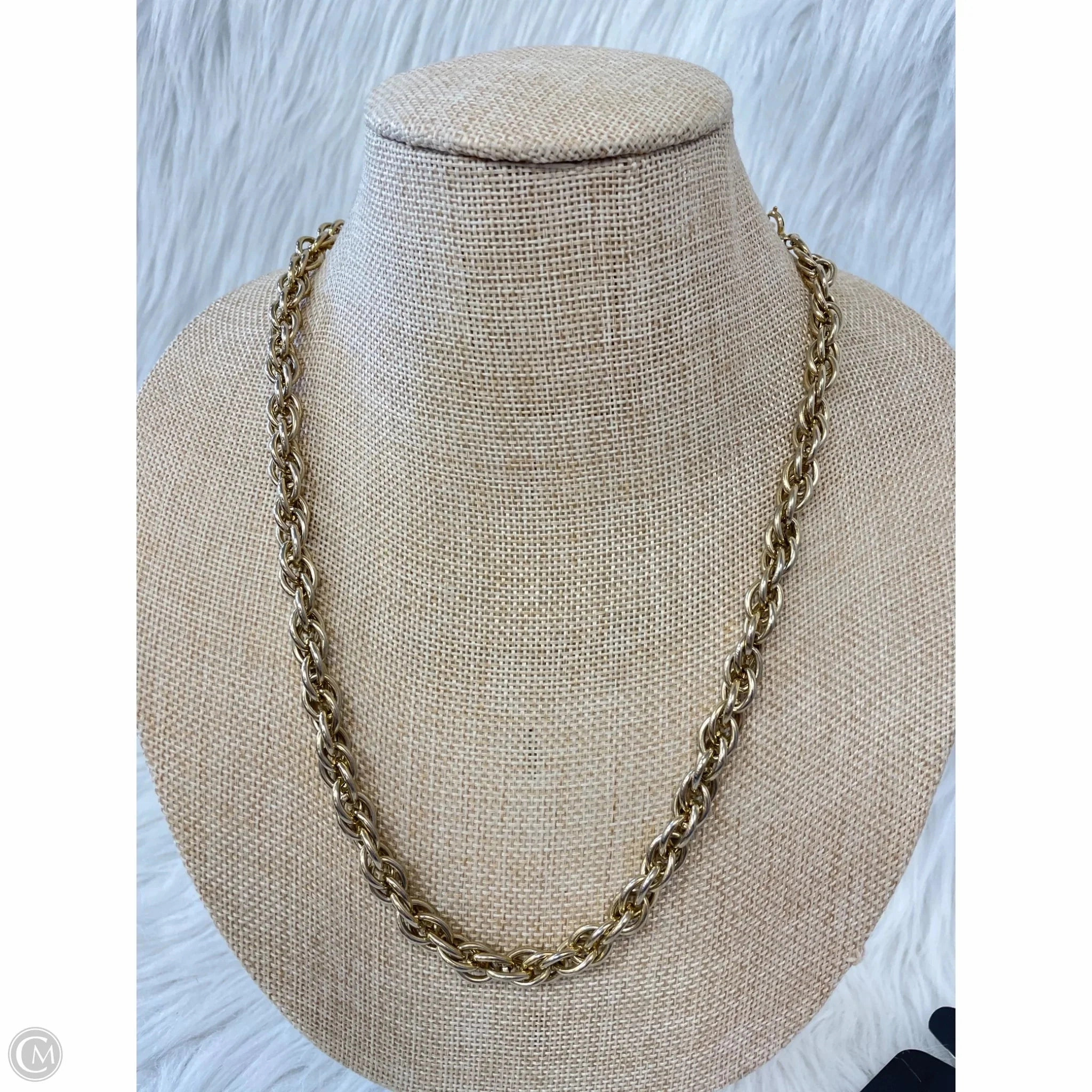 Necklace Chain By Clothes Mentor