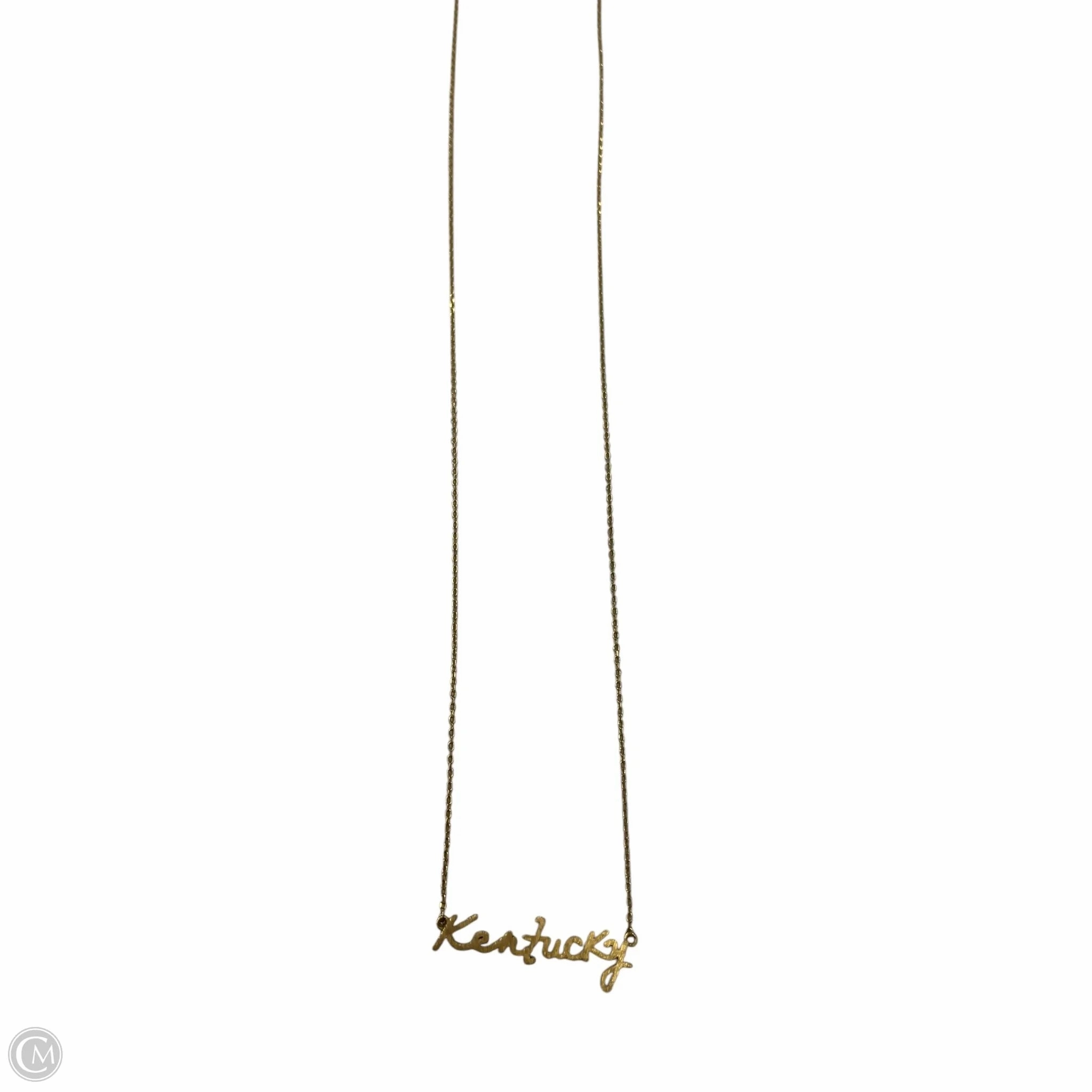 Necklace Chain By Clothes Mentor