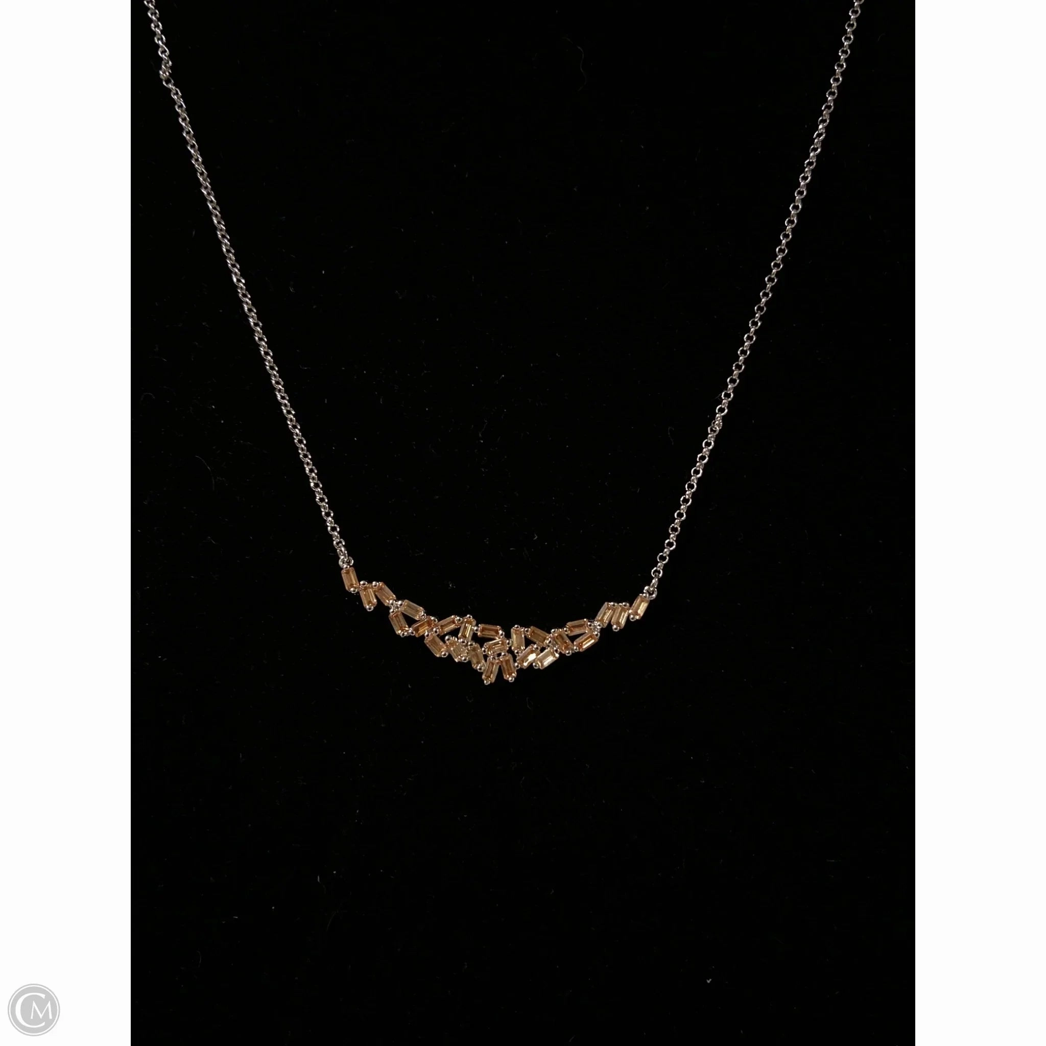 Necklace Chain By Clothes Mentor