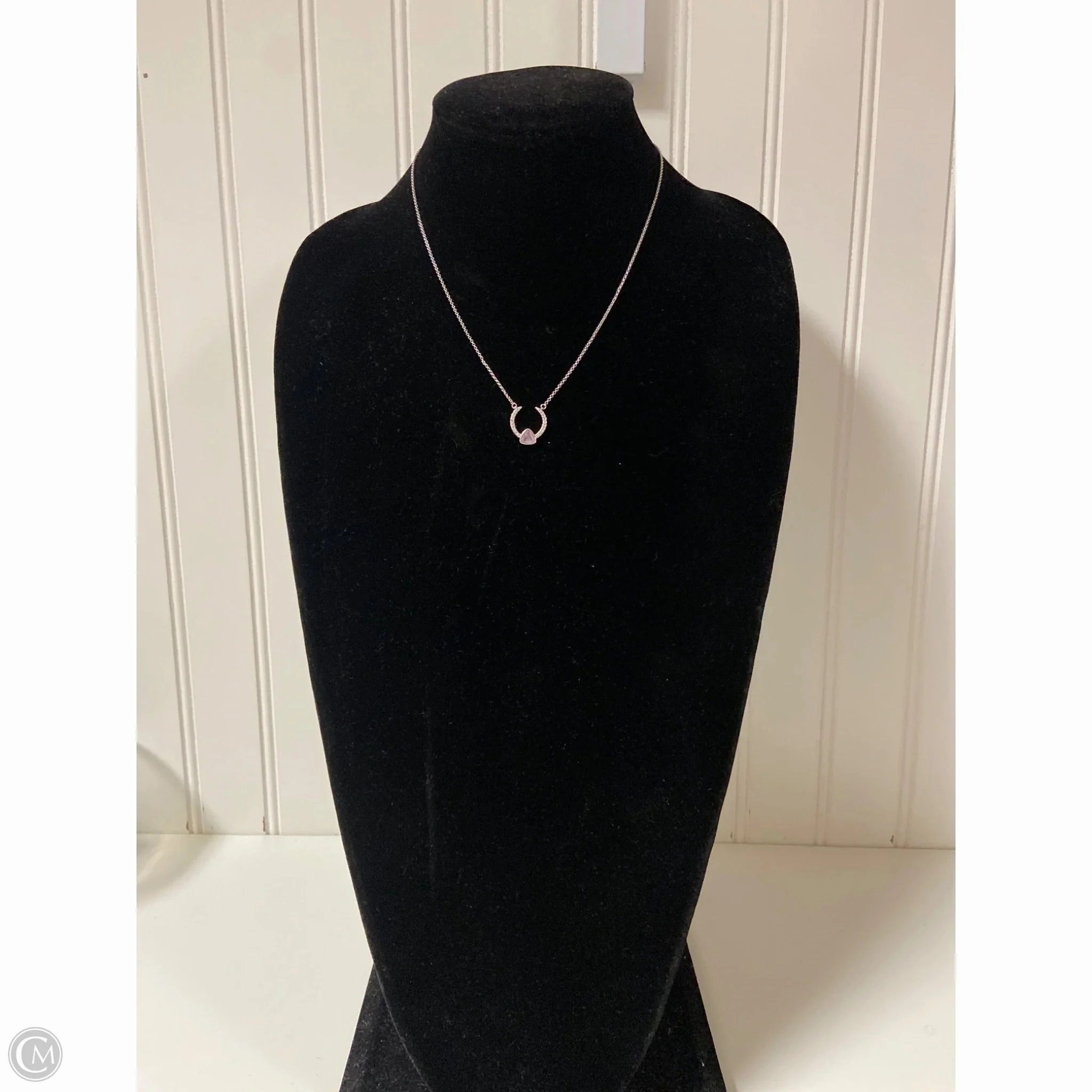 Necklace Chain By Clothes Mentor