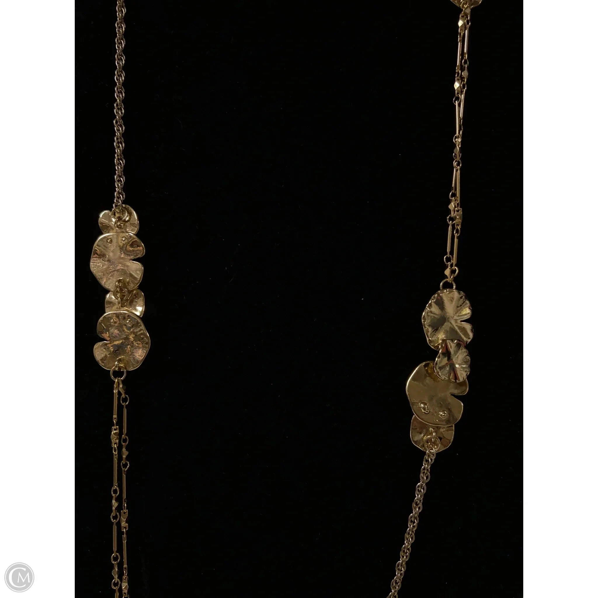 Necklace Chain By Clothes Mentor