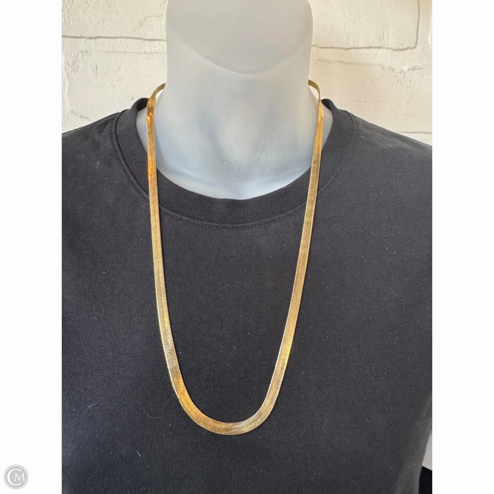 Necklace Chain By Clothes Mentor