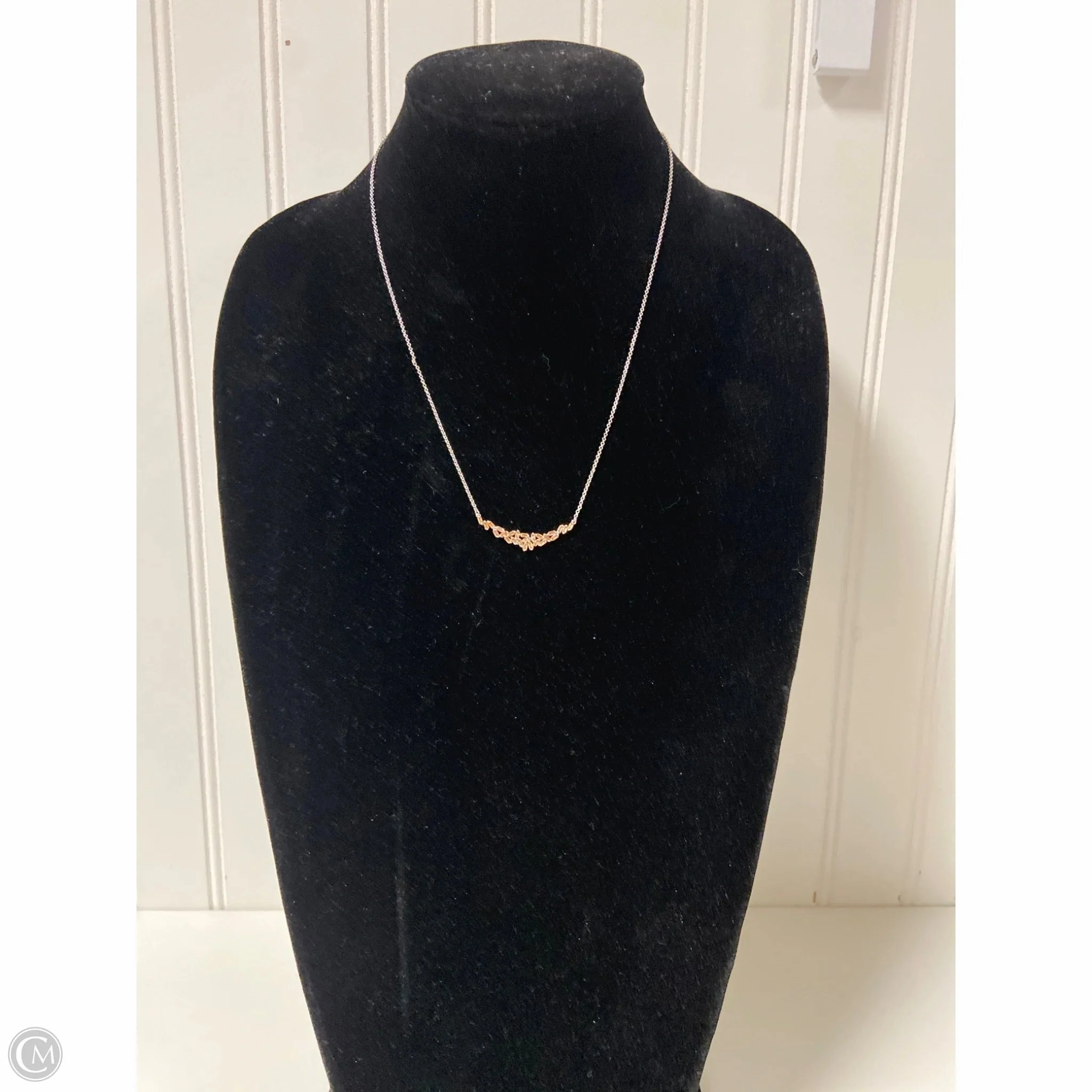 Necklace Chain By Clothes Mentor