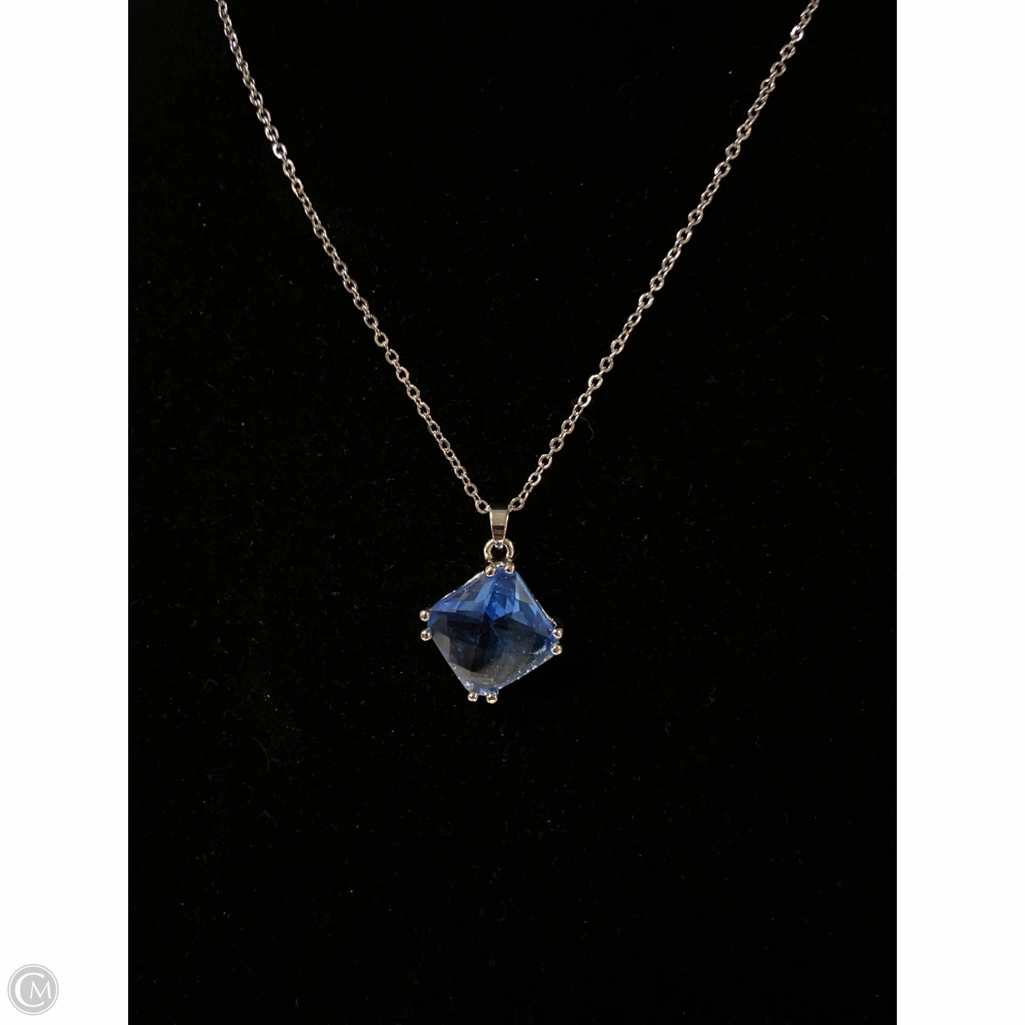 Necklace Chain By Clothes Mentor