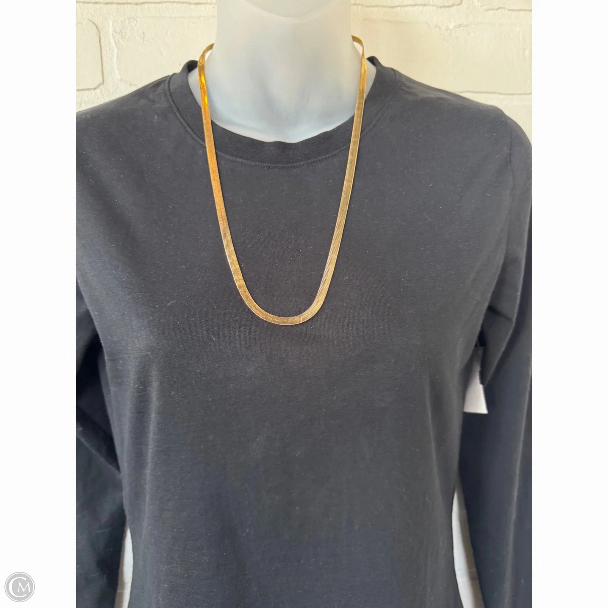 Necklace Chain By Clothes Mentor