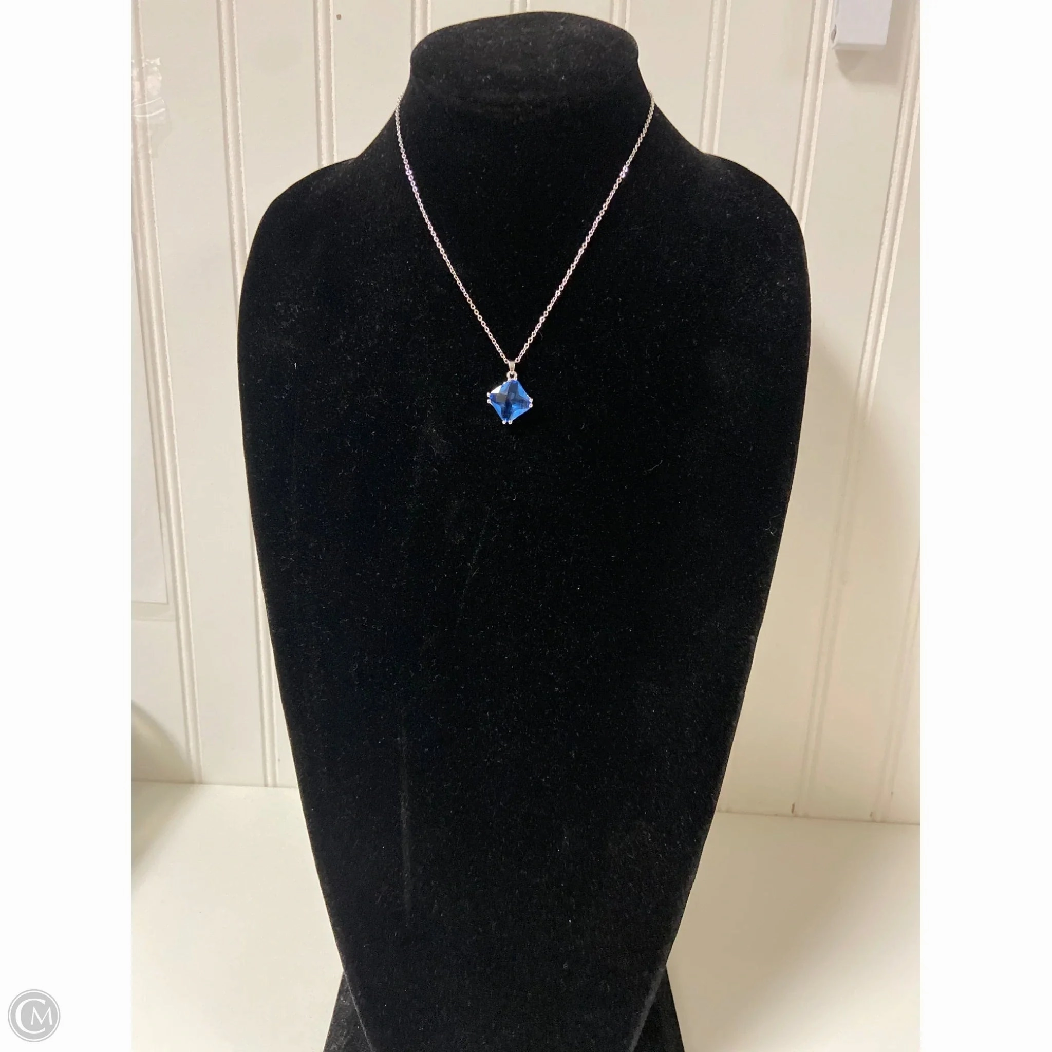 Necklace Chain By Clothes Mentor