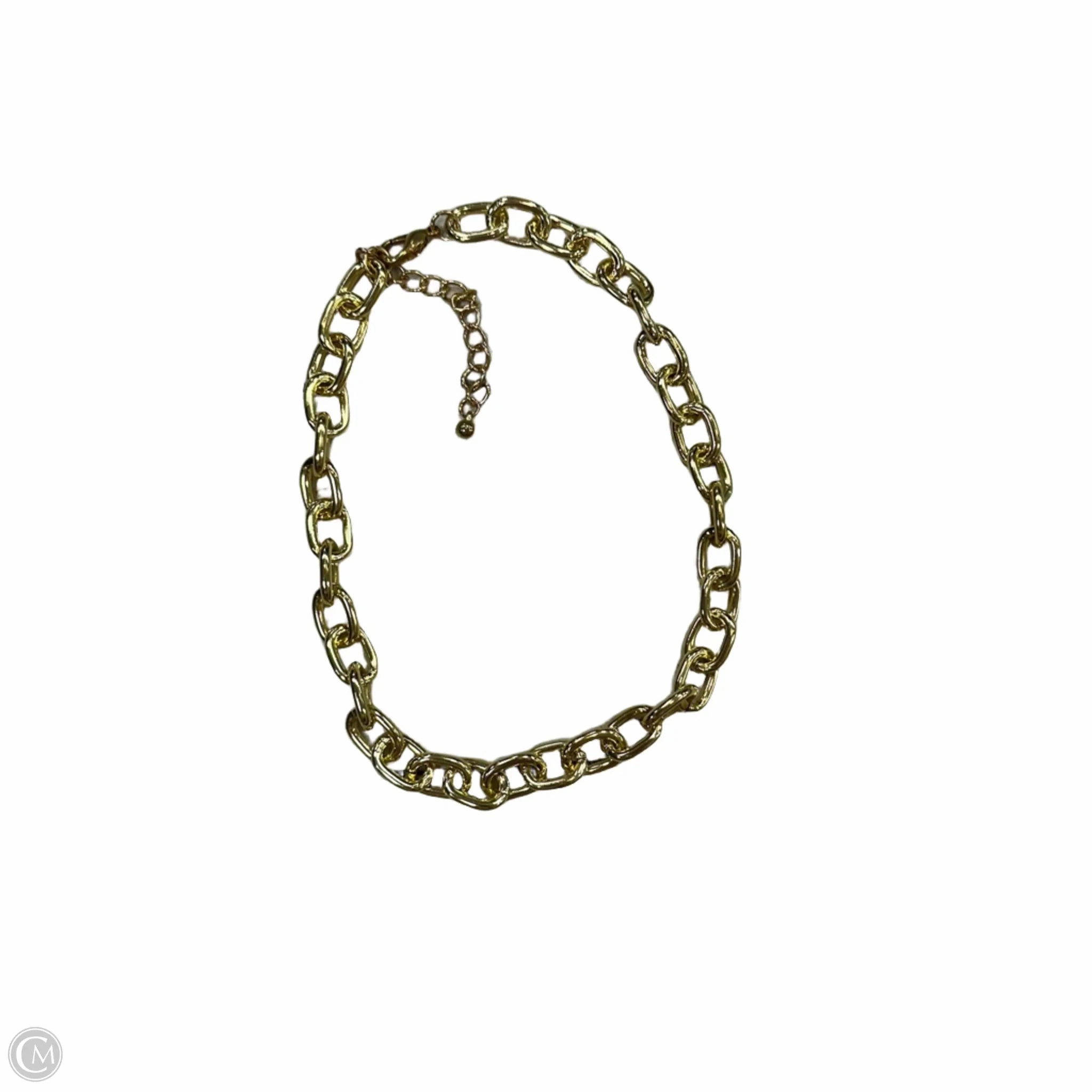 Necklace Chain By Clothes Mentor