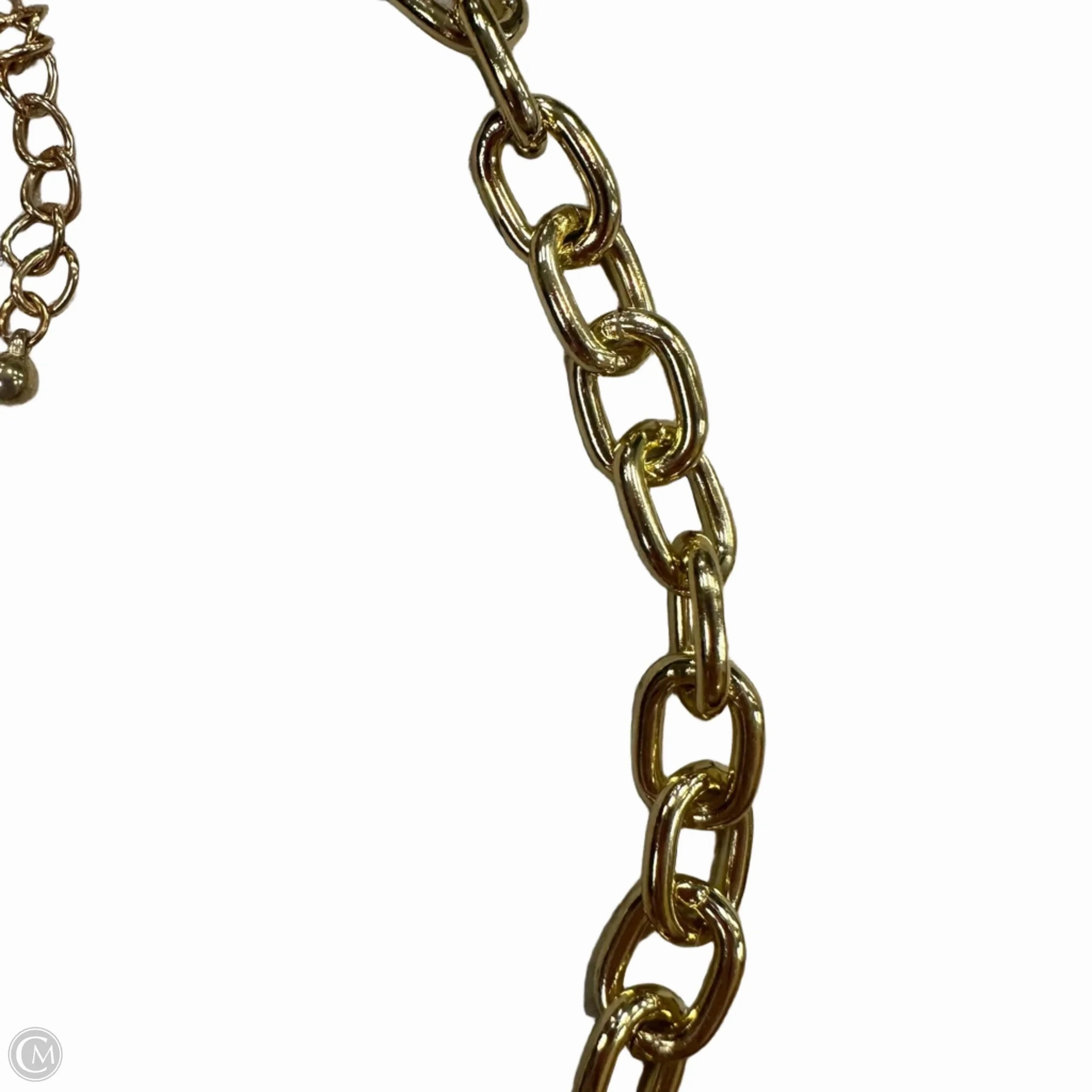 Necklace Chain By Clothes Mentor