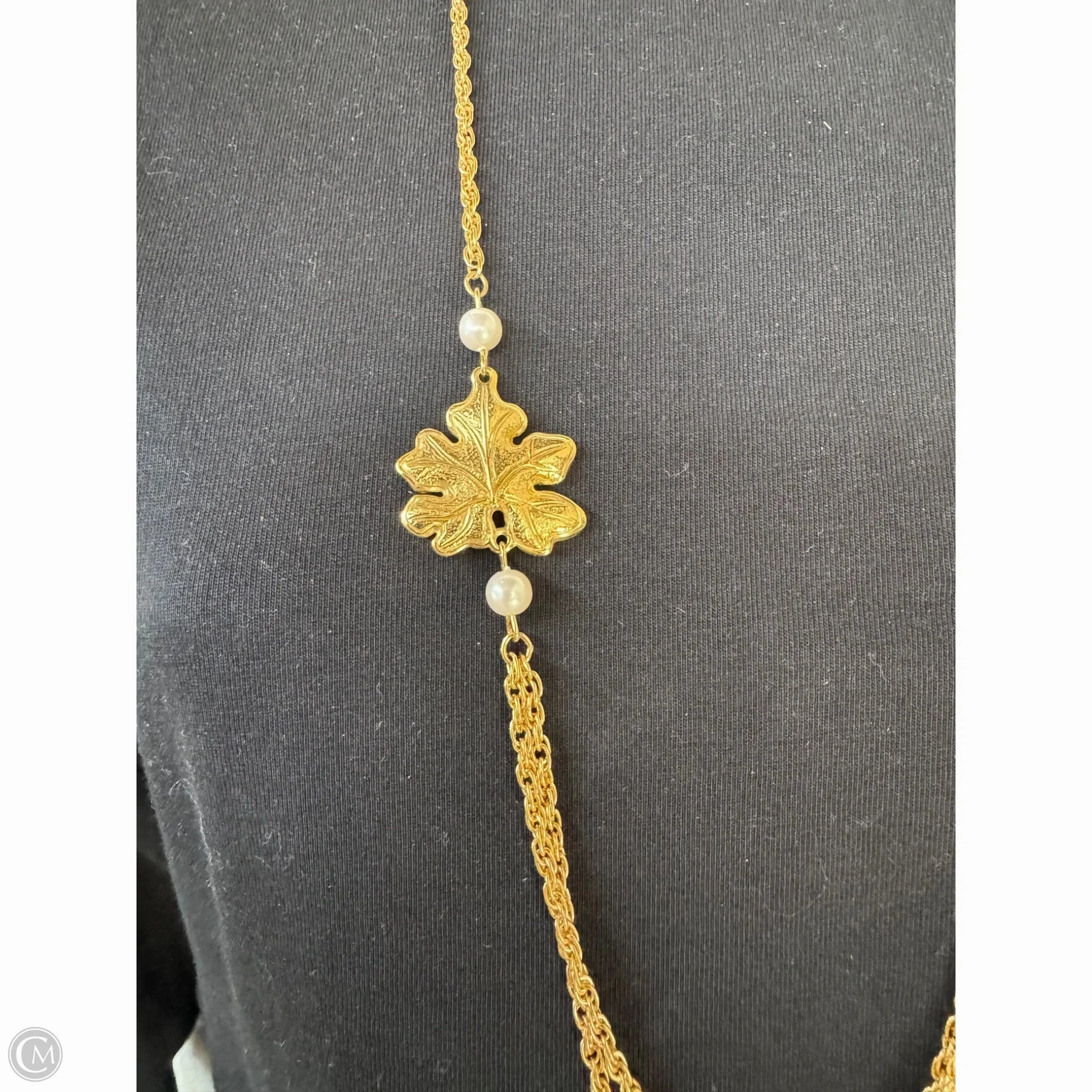 Necklace Chain By Clothes Mentor