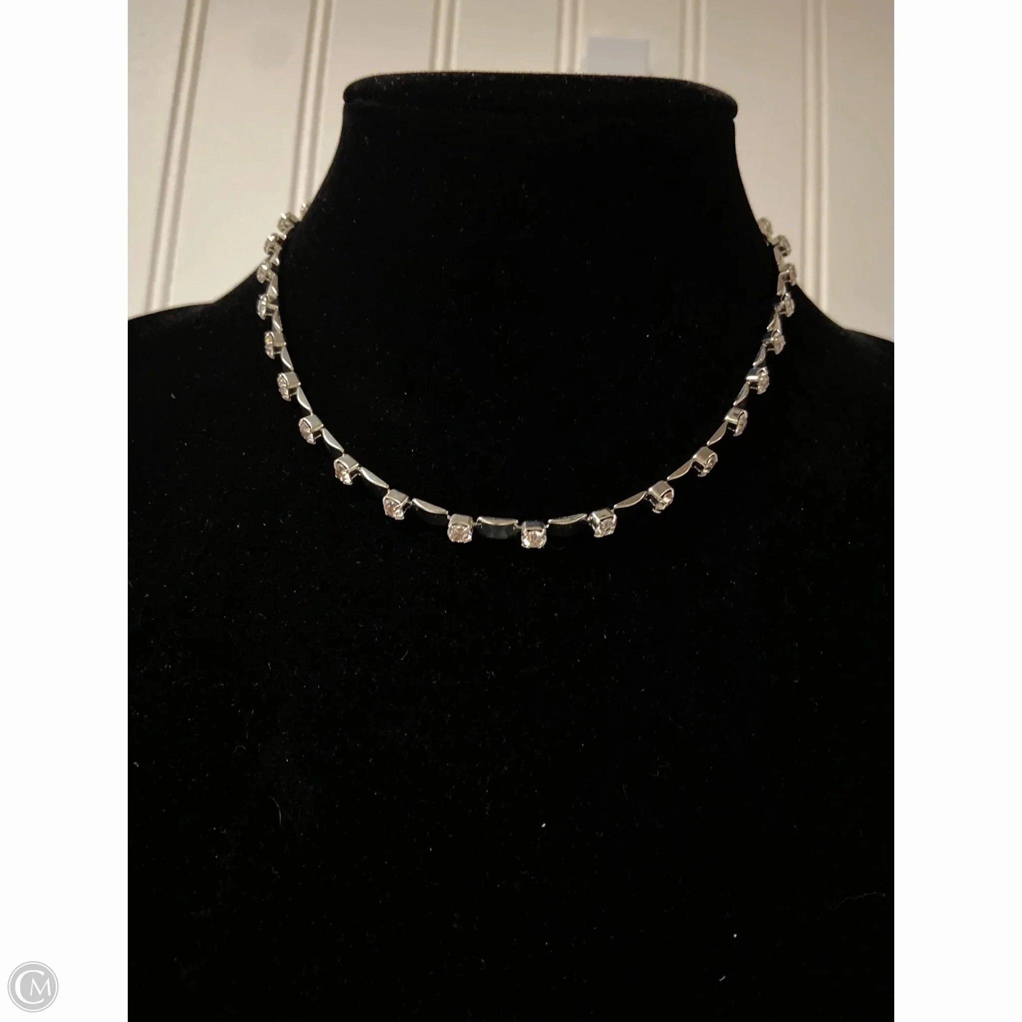 Necklace Chain By Loft