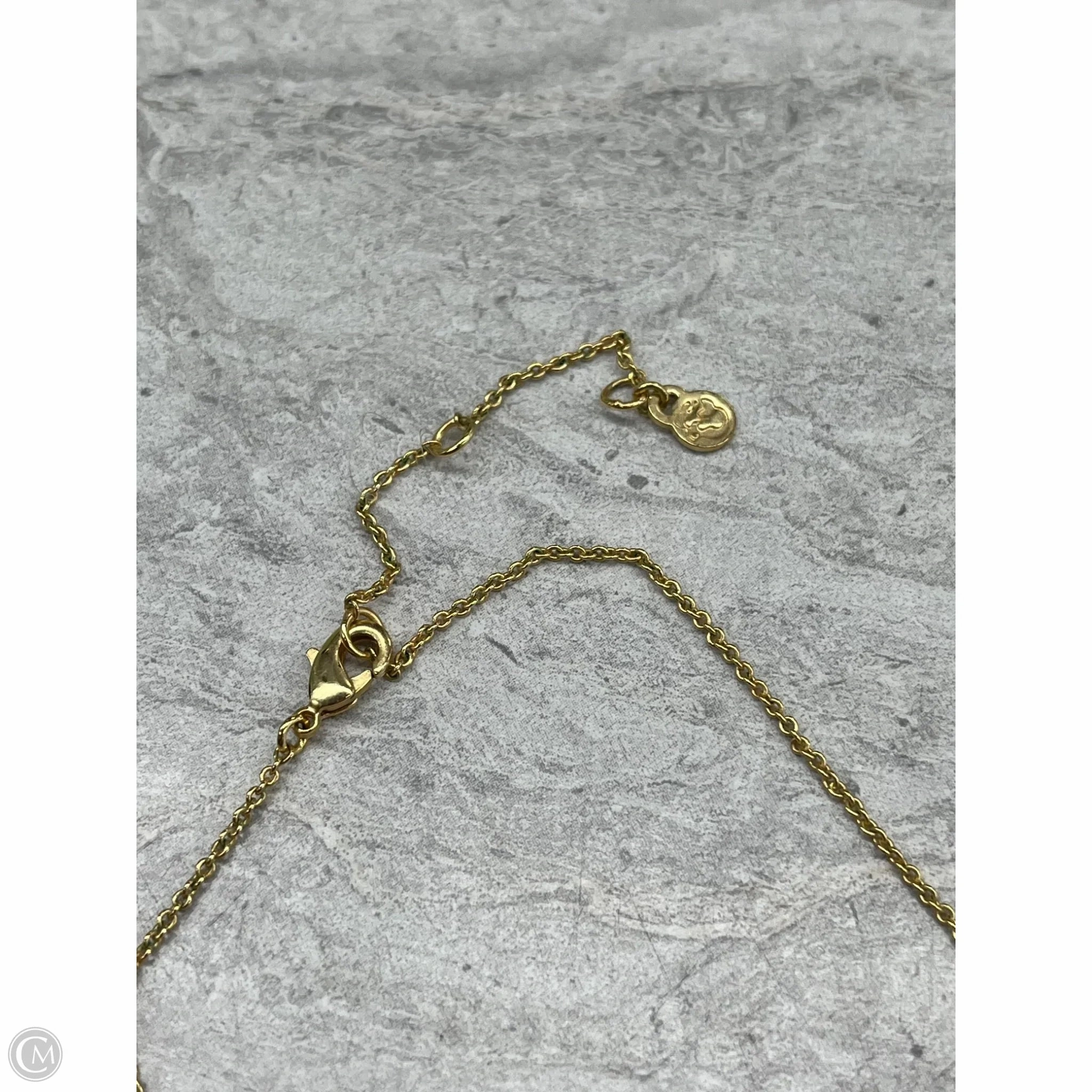 Necklace Chain By Spartina