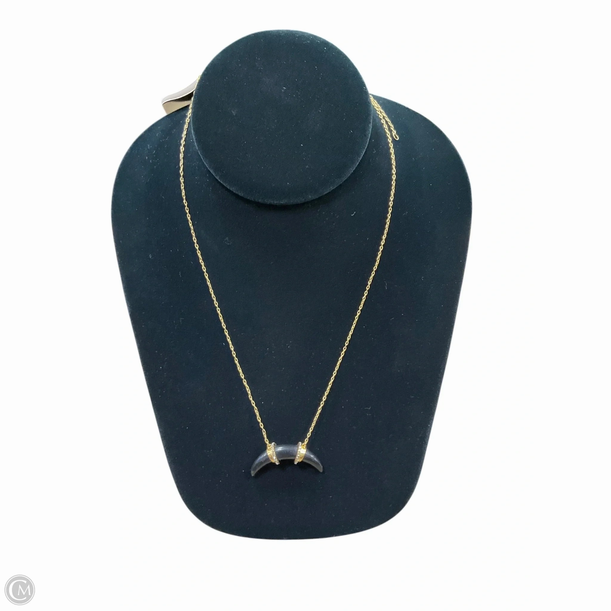 Necklace Chain By Stella And Dot