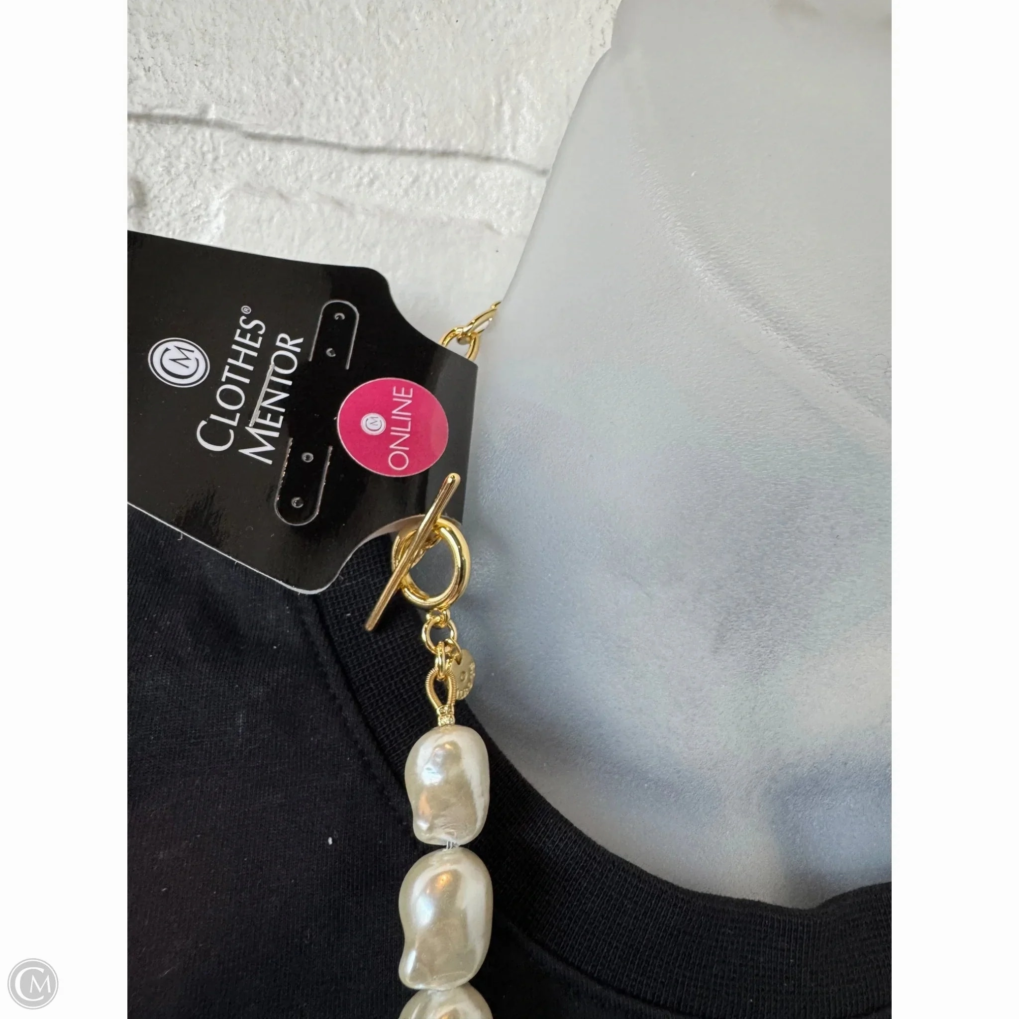 Necklace Chain By Talbots