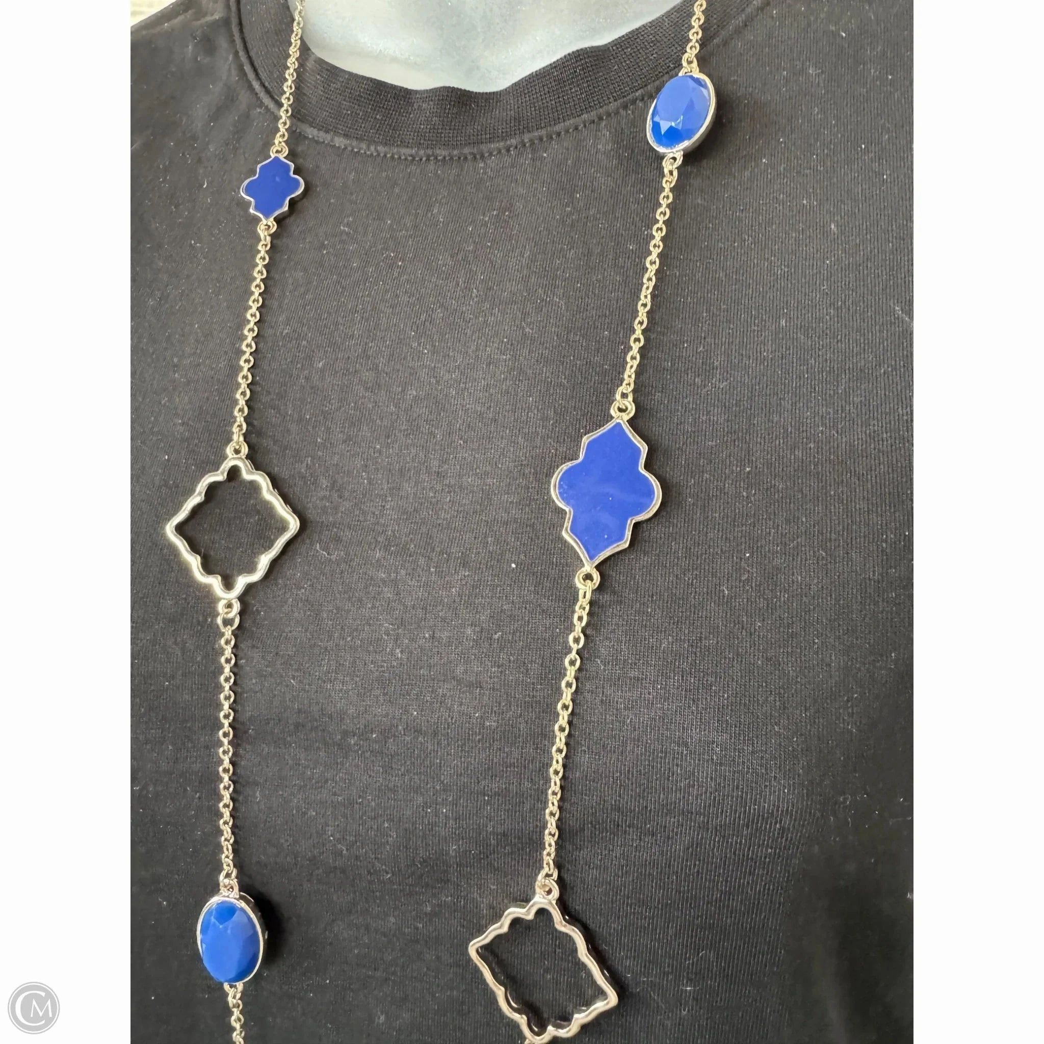 Necklace Chain By Talbots