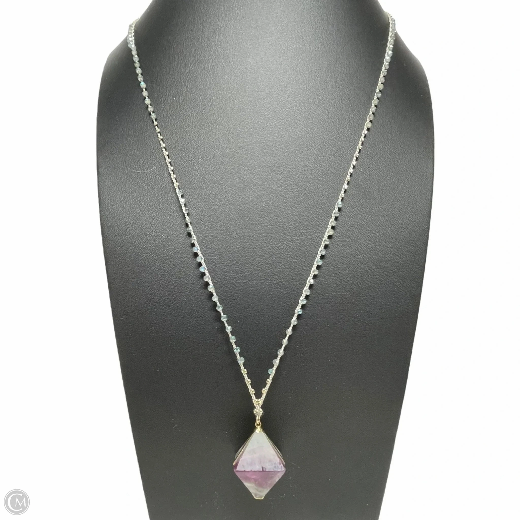 Necklace Charm By Clothes Mentor