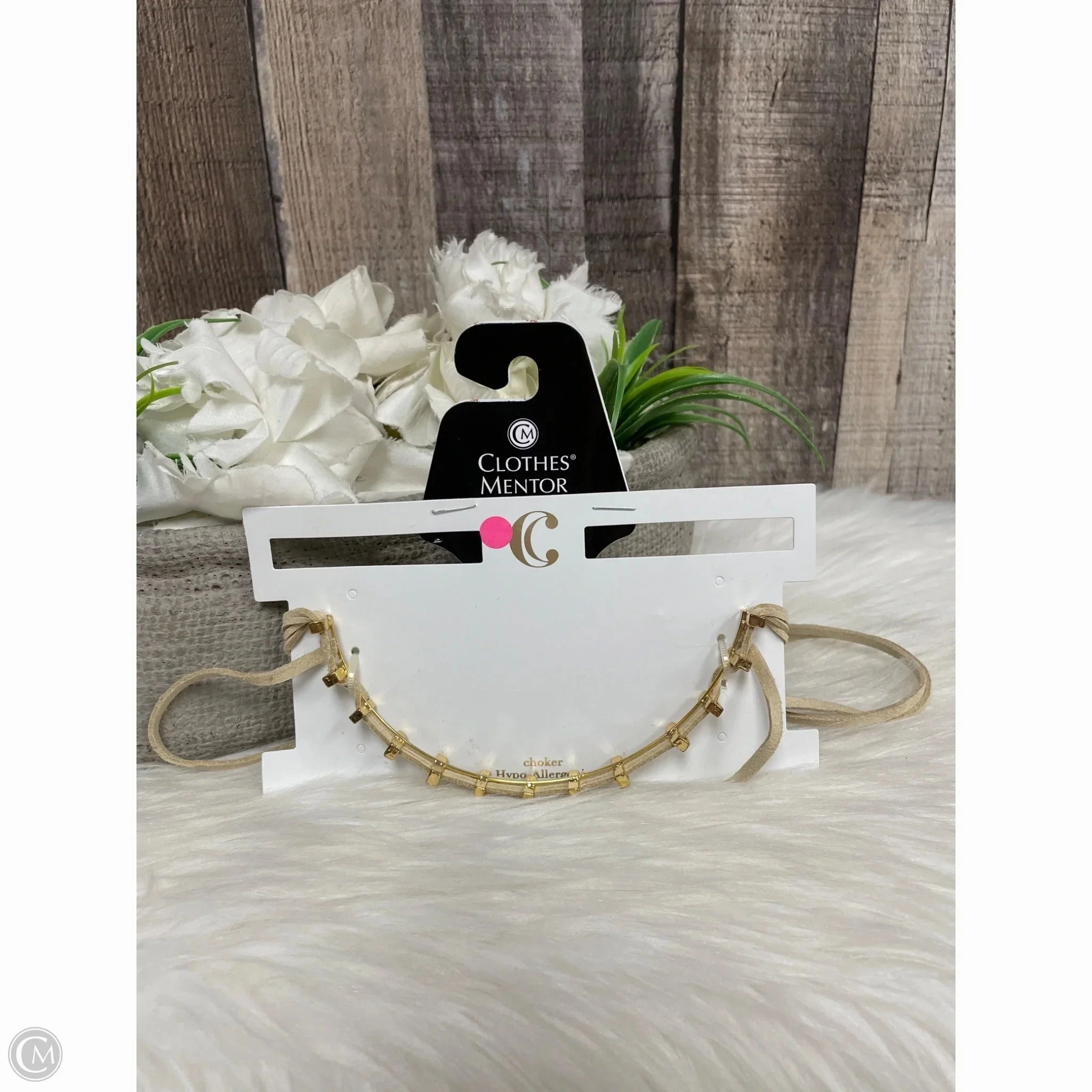 Necklace Choker & Collar By Charming Charlie