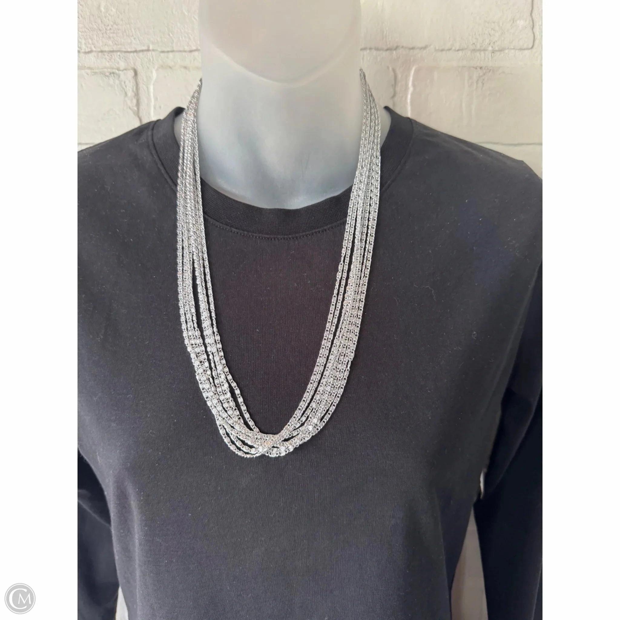 Necklace Layered By Clothes Mentor