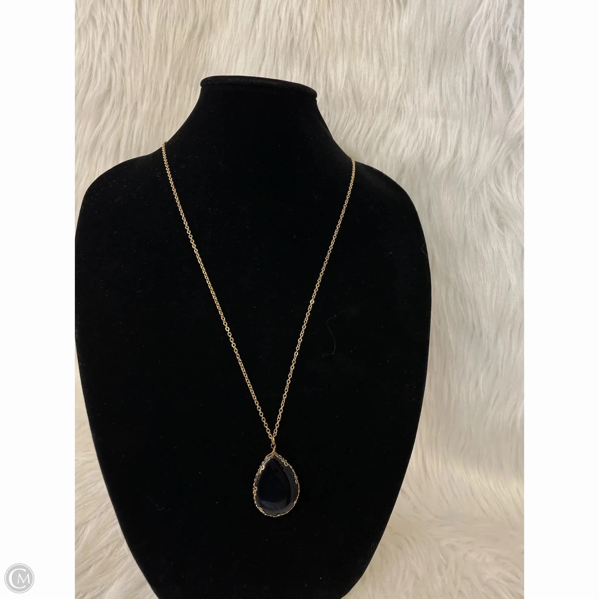 Necklace Pendant By Clothes Mentor