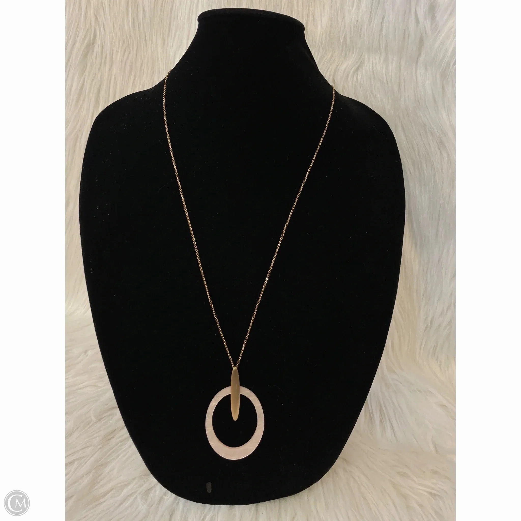 Necklace Pendant By Clothes Mentor