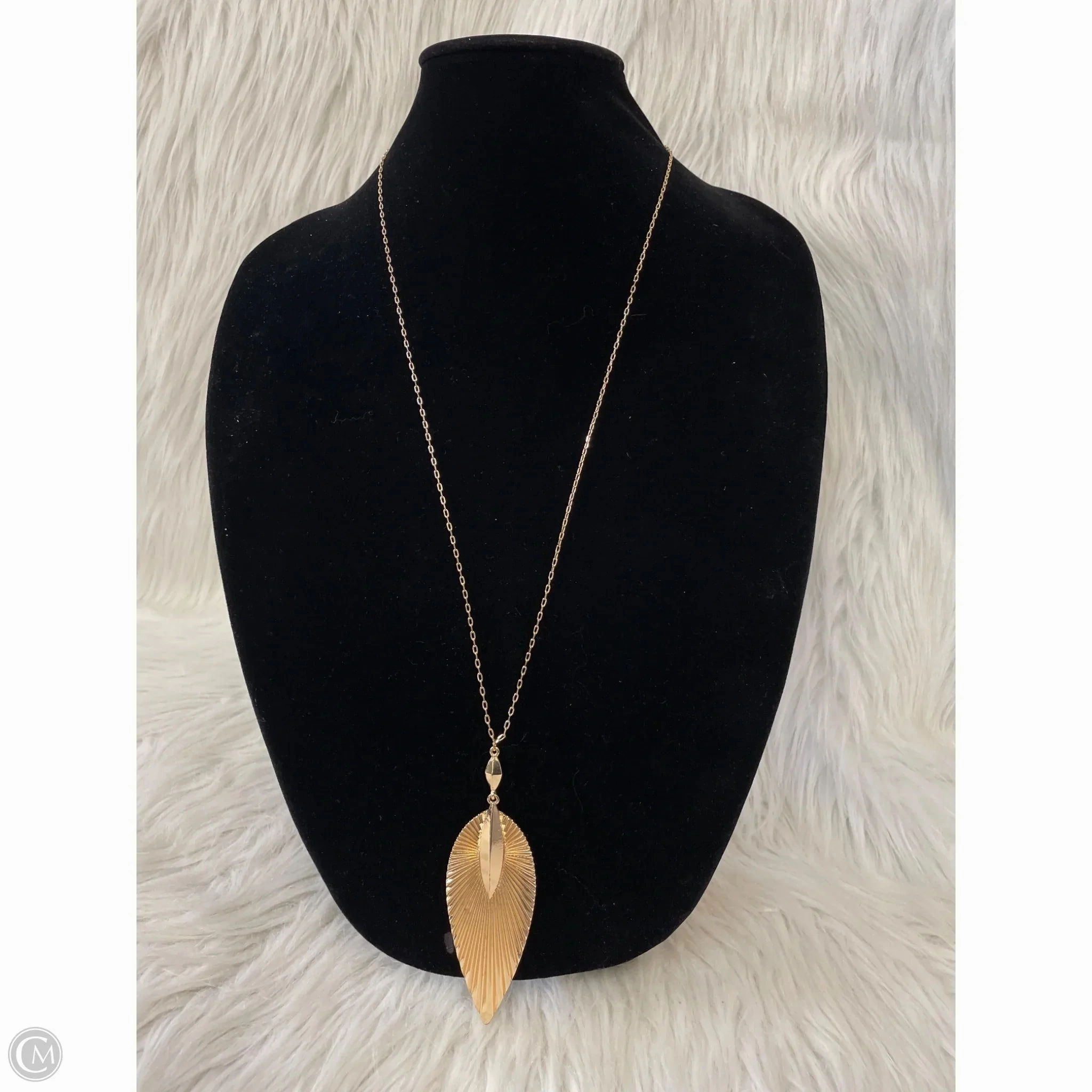 Necklace Pendant By Clothes Mentor