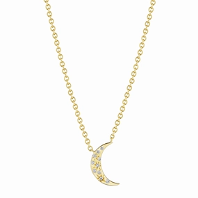 Petite Penny Galaxy Moon Necklace