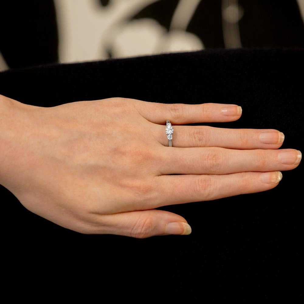 The Bryony Platinum Round Brilliant Cut Diamond Three Stone Engagement Ring