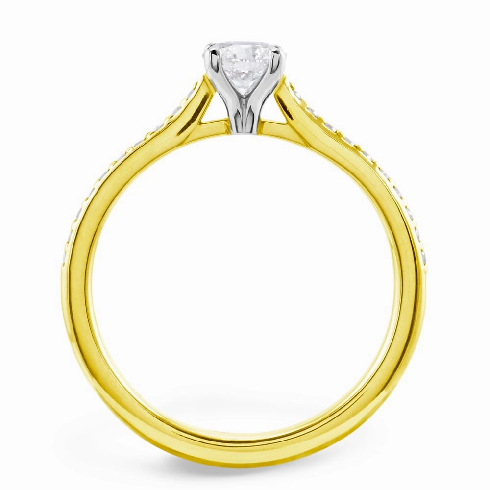The Jasmine 18ct Yellow Gold And Platinum Round Brilliant Cut Diamond Solitaire Engagement Ring With Diamond Set Shoulders